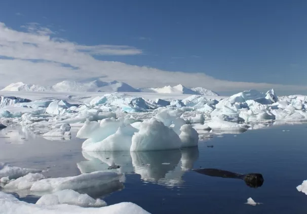 us experts predict higher sea level rise study us experts predict higher sea level rise study