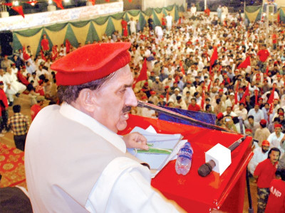 anp does not have a militant wing shahi syed