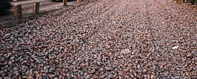 missing deadlines wasa md suspended over road delay