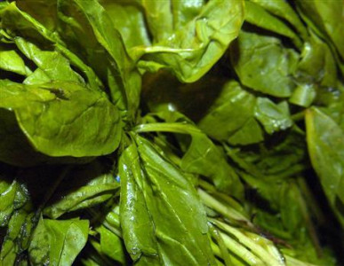 tainted lunch eight of a family faint after eating spinach curry