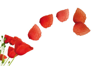 30b worth of drugs transit through pakistan un report