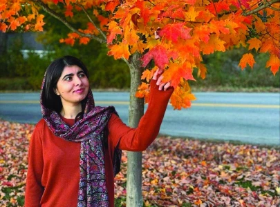 malala s muslim girl autumn malala s muslim girl autumn