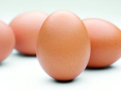 boil cool and repeat boil cool and repeat