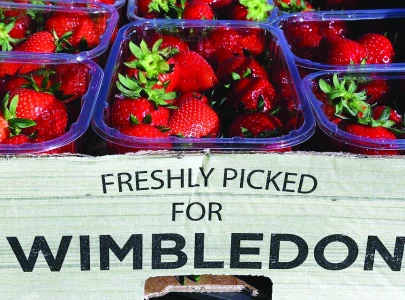 wimbledon s top strawberry faces juicy competition
