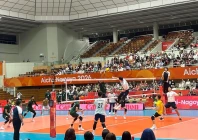 photo pvf