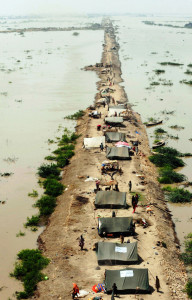 pucca intention to stay in the kachcha