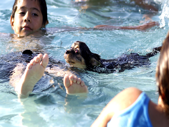 Updated Sep 09, 2010