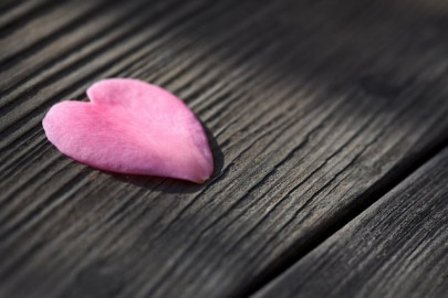 absence does make the heart grow fonder study absence does make the heart grow fonder study