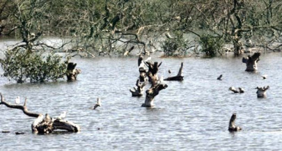 survival of 4m fishermen hangs in balance as fishing sites rapidly deteriorate