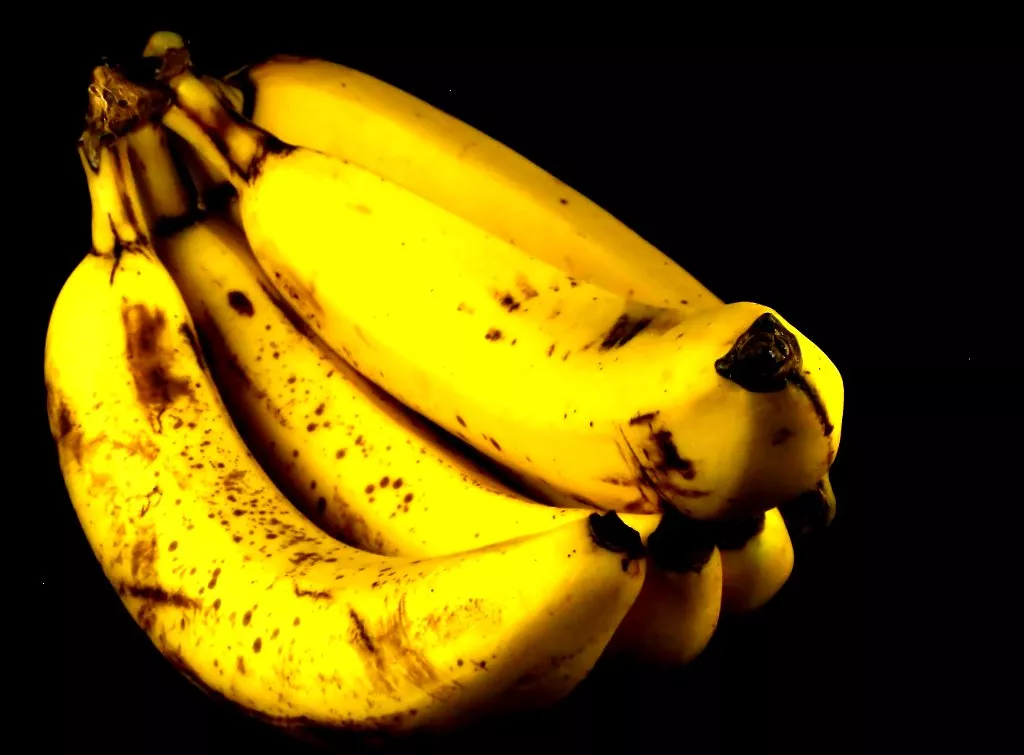 photo climate crisis puts future of bananas at risk photo climate crisis puts future of bananas at risk