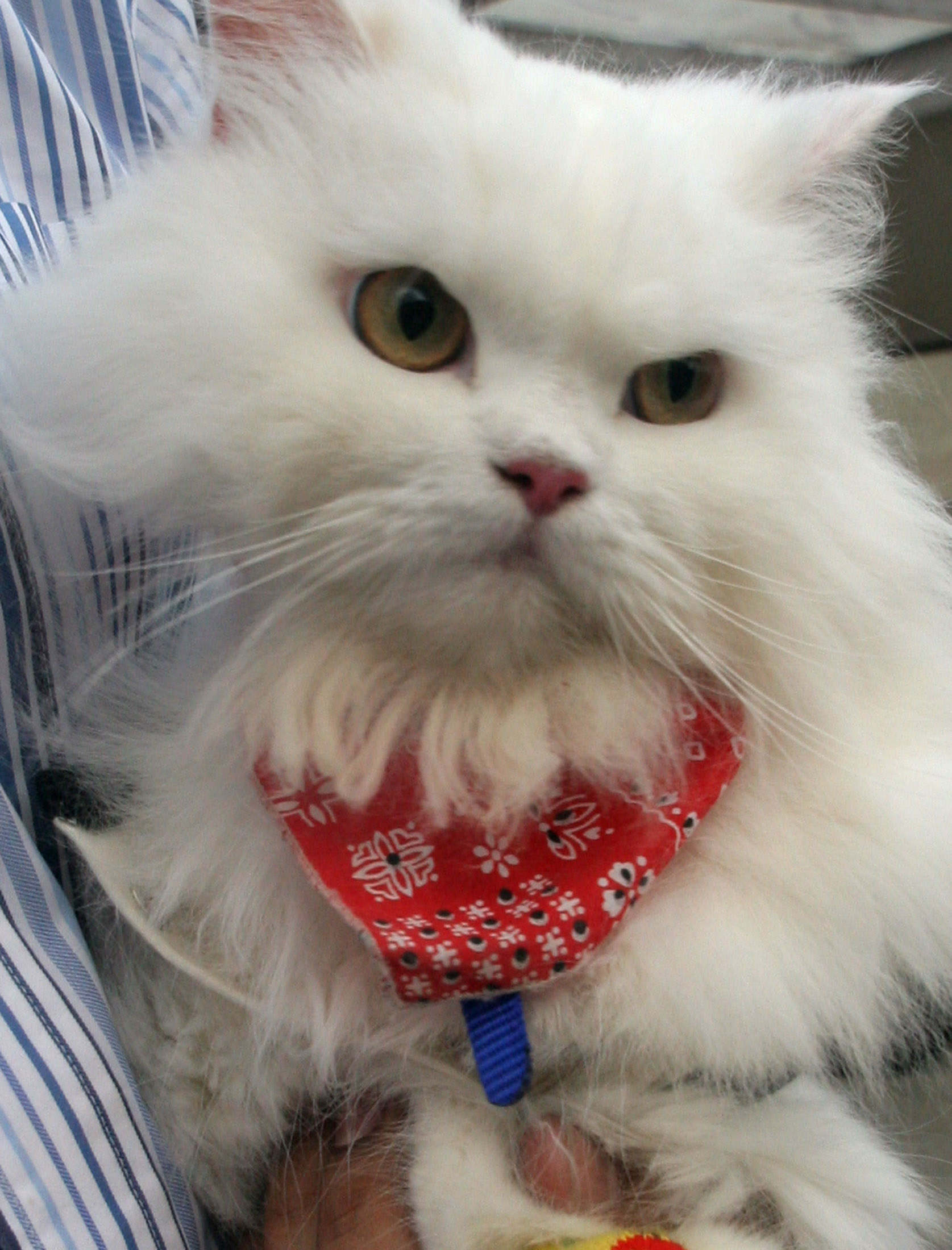 Updated Jun 30, 2012