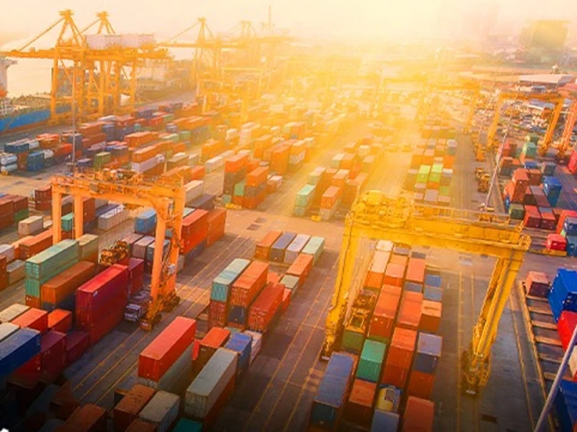 rs825m tax evasion detected at port qasim rs825m tax evasion detected at port qasim