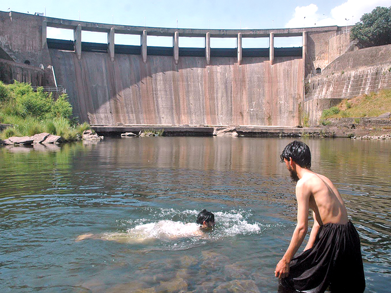 heated reaction daredevil swimmers continue to defy ban