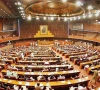 senate panel flags security concerns