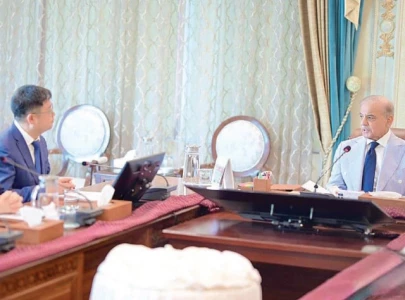 pm hails b2b cooperation with china