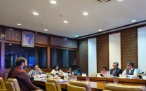 senate panel reviews telecom theft outages