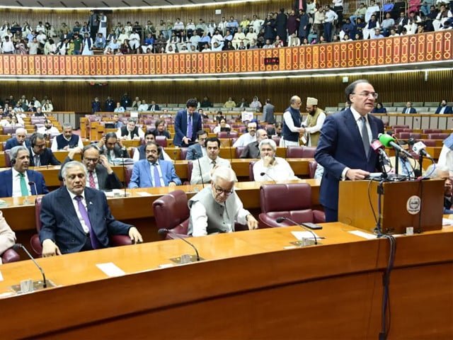 Senate panel completes review of Finance Bill