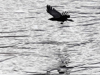 2nd test rain taking away pakistan s chances to square series 2nd test rain taking away pakistan s chances to square series