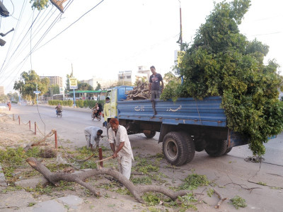 with small fines tree fellers get free rein in karachi