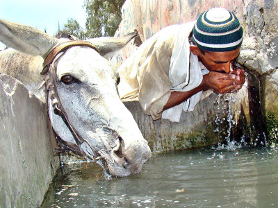 water woes town admin dumping sewage in potable water source