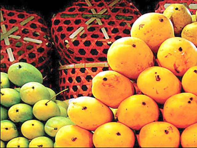netherlands pakistani mangos go on display at expo