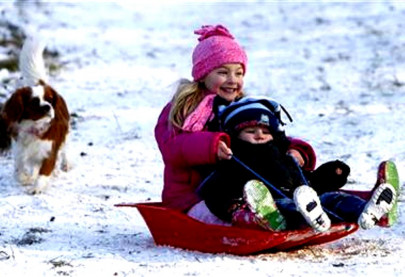 babies in dog owning families may be healthier study