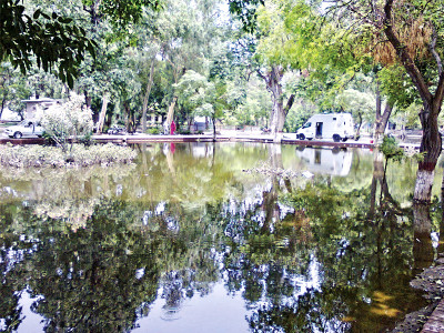 when it rains city s largest park turning into mosquito breeding site when it rains city s largest park turning into mosquito breeding site