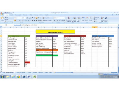 wedding woes the bridal brouhaha