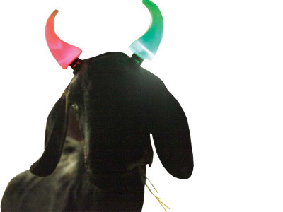 winning goats draw bids of up to rs300 000 winning goats draw bids of up to rs300 000