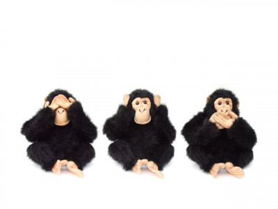 need for developing a market for morality need for developing a market for morality