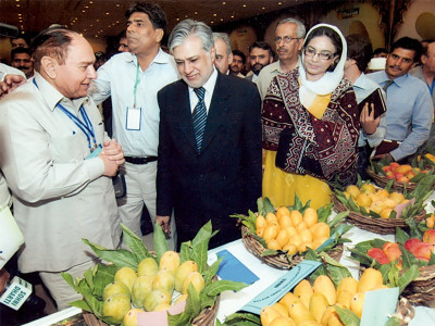mango festival at a festival of mangoes possibility of new markets emerge