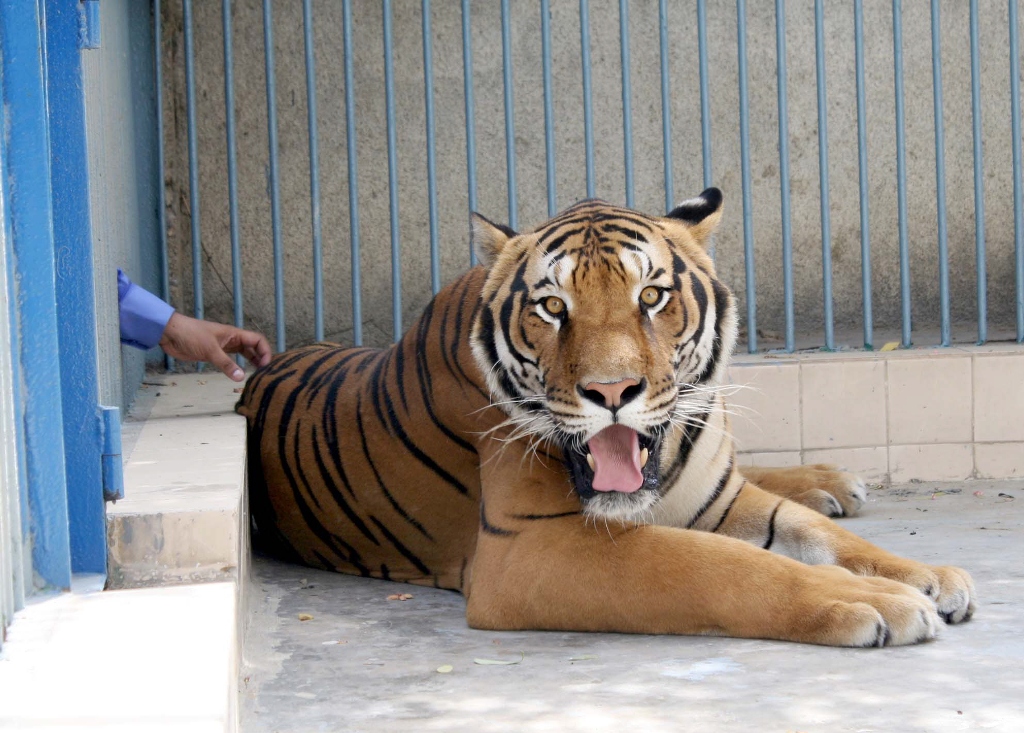 Updated Jul 17, 2012