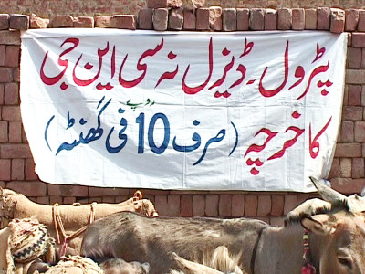 rent a donkey gujranwala kiln worker s family takes first ever vacation