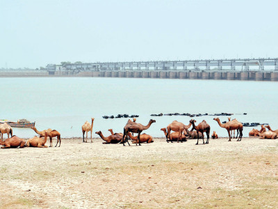 wapda to sindh get water for 747mw plant wapda to sindh get water for 747mw plant