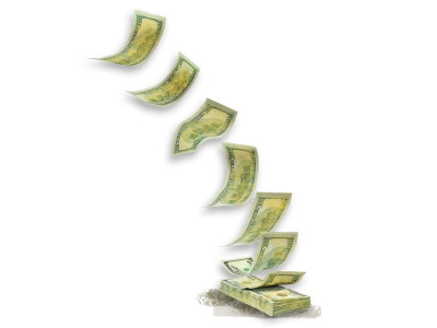 capital flight law and order not the only factor impeding investment