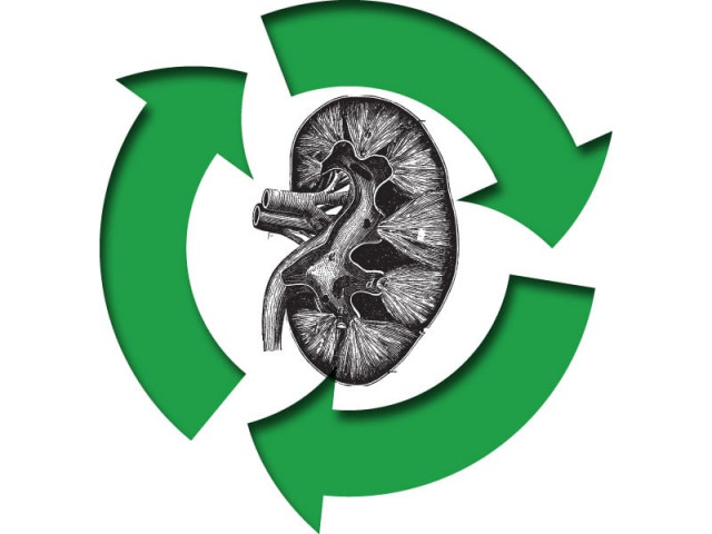cash for kidneys pakistan s flourishing trade in illegal transplants cash for kidneys pakistan s flourishing trade in illegal transplants