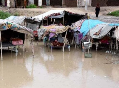 tando adam villages are still swamped tando adam villages are still swamped