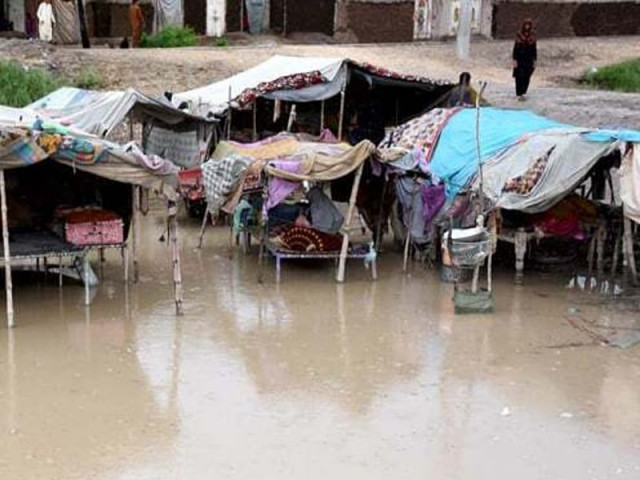 tando adam villages are still swamped tando adam villages are still swamped