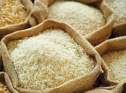 pak secures additional rice exports to malaysia pak secures additional rice exports to malaysia
