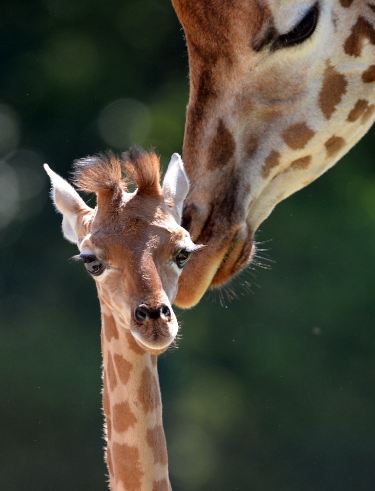 Updated Jul 24, 2012