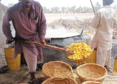 dyed dried and supplied how a date gets from a tree to your plate dyed dried and supplied how a date gets from a tree to your plate