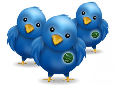 punjab govt footing bill for pml n social media revamp