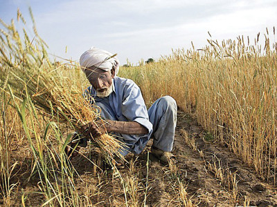 return to the basics farmers encouraged to use water and inorganic fertiliser with care