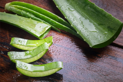 five amazing benefits of aloe vera five amazing benefits of aloe vera