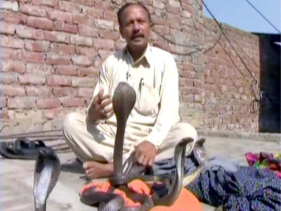 serpent hunters and the curse of covid 19