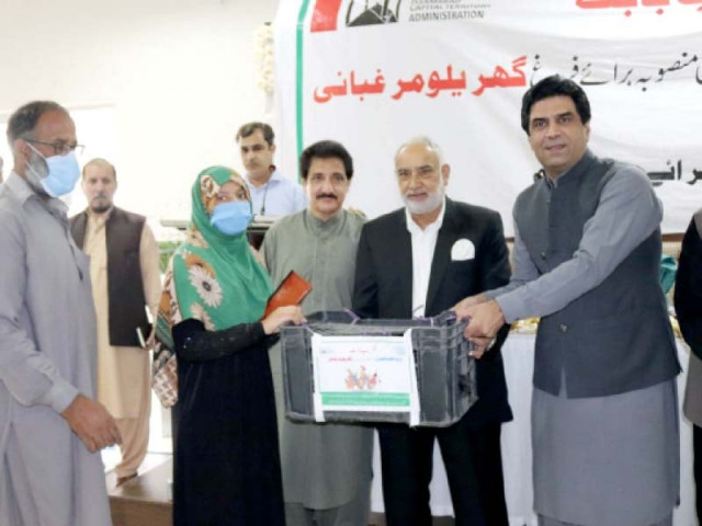 sapm on cda affairs ali nawaz awan hands over a set of five chickens and a cockerel to a registered recipient of pm s backyard poultry programme photo express sapm on cda affairs ali nawaz awan hands over a set of five chickens and a cockerel to a registered recipient of pm s backyard poultry programme photo express