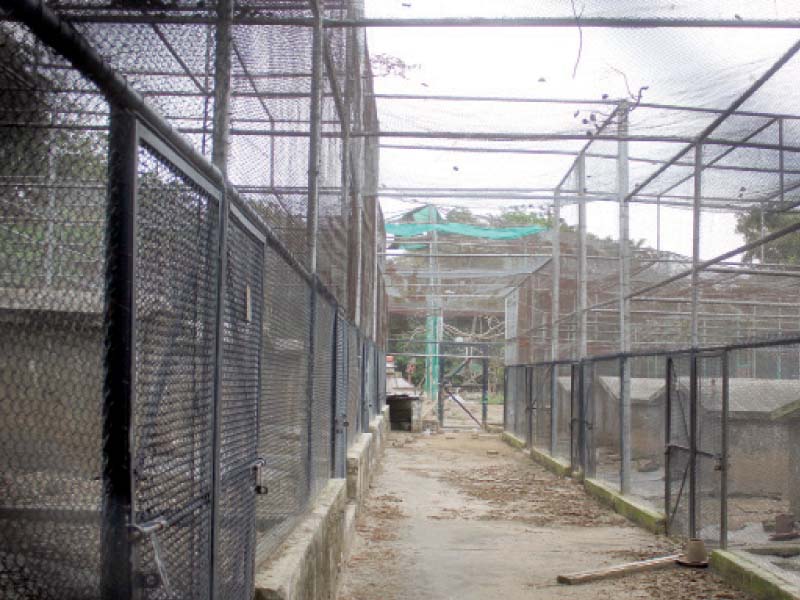 cages lie empty at islamabad zoo after more than 400 animals were shifted to ayub national park in rawalpindi photo online