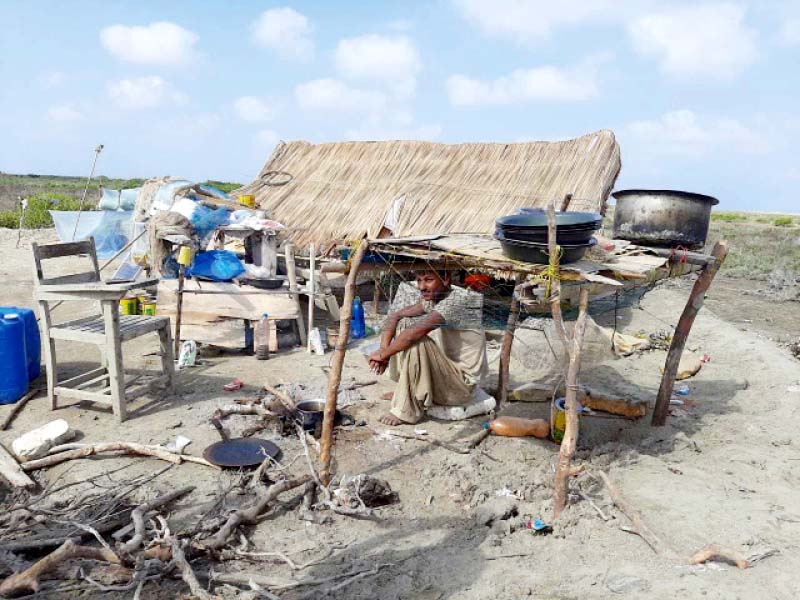 a poacher sits by a makeshift camp that has been set up to capture birds at bundal island off karachi s shores inside two birds that have al ready fallen prey to the poachers are tied down to the camp s beams to prevent them from flying away photos express