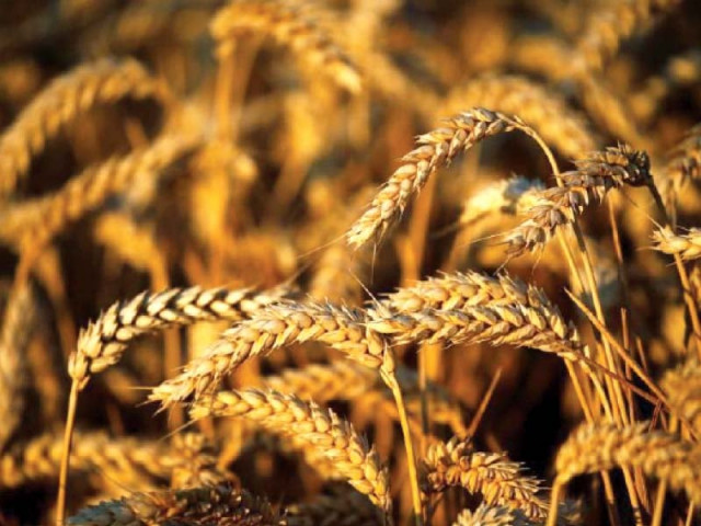 govt claims fall in flour price govt claims fall in flour price