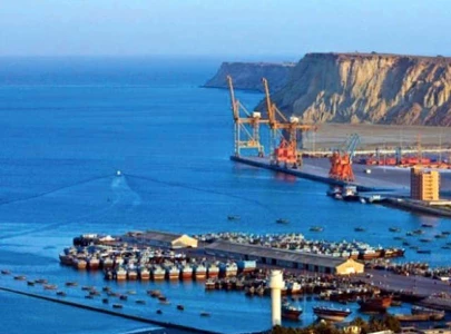 senate body for expediting cpec projects